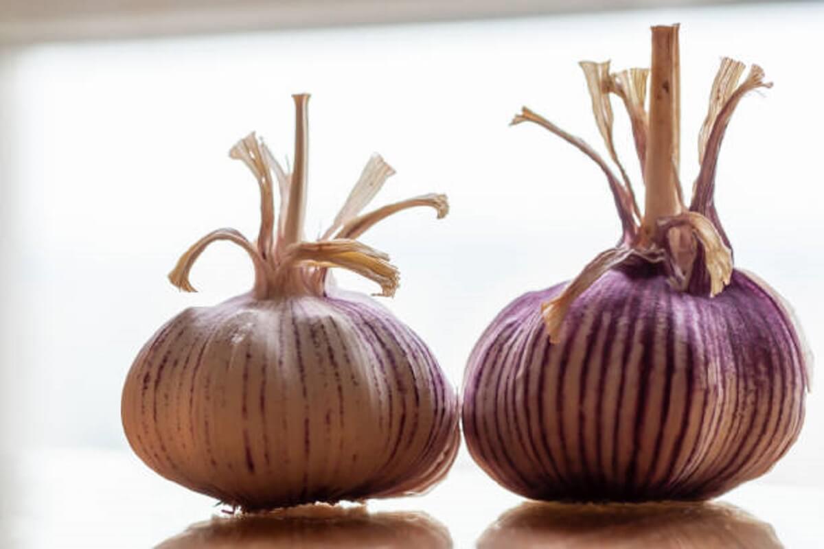 How many Tablespoons is 2 Cloves of Garlic