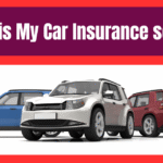 why is my car insurance so high